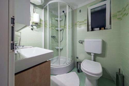 uma casa de banho com um chuveiro, um WC e um lavatório. em Country House Dumančić with nice garden and hot tub em Lovreć