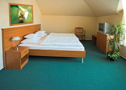 a bedroom with a large bed and a tv at Promedicum Panzio in Veszprém