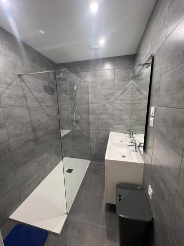 uma casa de banho com um chuveiro e um lavatório. em Appartement T4 Jean-Jaurès em Saint-Étienne