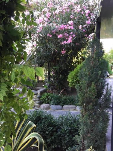 a garden with pink flowers and rocks at garden and panorama in Mtskheta
