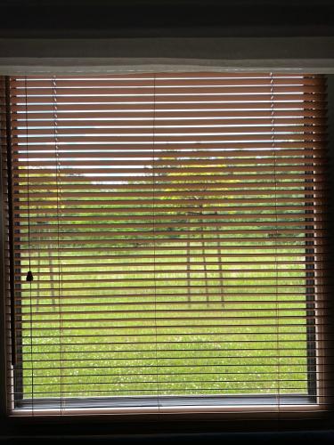 a window with blinds on it with a view of a tree at Loft Klonowa - Apartament z garażem in Kielce