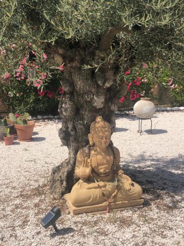 Photo de la galerie de l'établissement Mas de Bagarry, au Plan-de-la-Tour