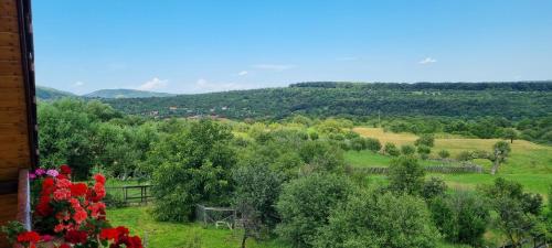 a view of a valley with trees and mountains at Pensiunea Printul Vlad in Sibiel