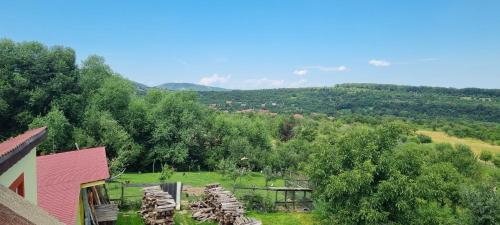 a view of a field with a bunch of animals at Pensiunea Printul Vlad in Sibiel