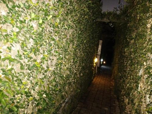 an alley with ivy on the side of a building at Baruna Sari Villa in Ubud