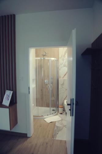 a bathroom with a walk in shower in a room at Agroturystyka W kurniku z jacuzzy in Lubań