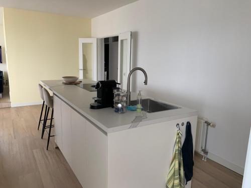 Kuchyň nebo kuchyňský kout v ubytování Kustverhuur, Appartement aan Zee, Port Scaldis 09-022