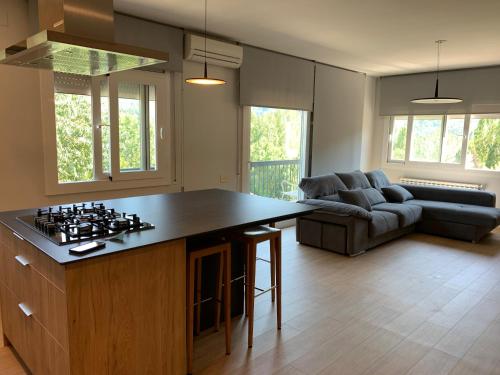 a kitchen and living room with a stove and a couch at Mirador del Llac in Cellers