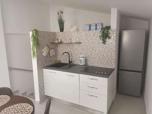 kuchnia ze zlewem i lodówką w obiekcie Apartment penthouse & apartment studio Franci w mieście Pag