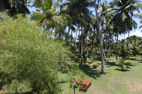 Un jardín fuera de Chitra Ayurveda
