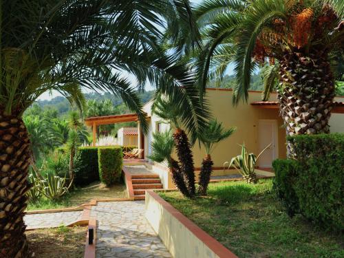 チェントラにあるLuxurious Holiday Home in Palinuro Italy with Swimming Poolの庭に2本のヤシの木がある家