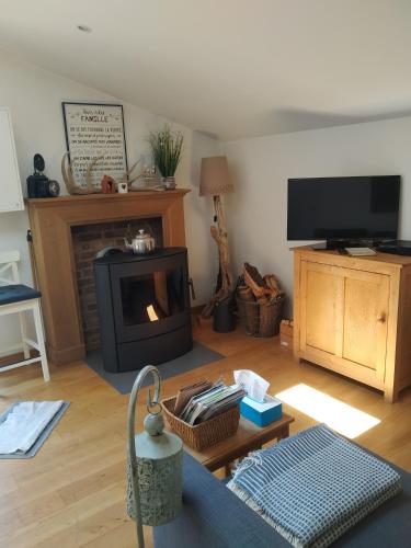 Una sala de estar con chimenea y televisión. en L'île d'Amélie, en Ciney