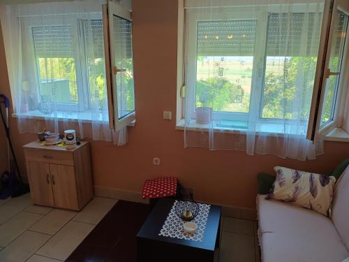 uma sala de estar com janelas, um sofá e uma mesa em Baranja green peace em Draž