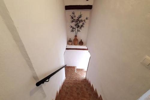 a hallway with a staircase with white walls and a plant at Casa Arriba Village House in Zarra in Zarra