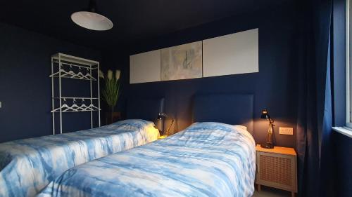 a bedroom with two beds and a blue wall at Good Vibes in Christchurch