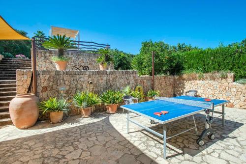a blue ping pong table in a yard with plants at Son Genet by Vintage Travel in Búger