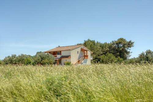 a house in the middle of a field of grass at Seaview Apartments in Pasman - Happy Rentals in Pašman
