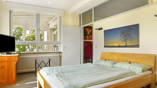 ein Schlafzimmer mit einem Bett und einem TV in einem Zimmer in der Unterkunft Ferienwohnung zum Goldenen Kopf in Elzach