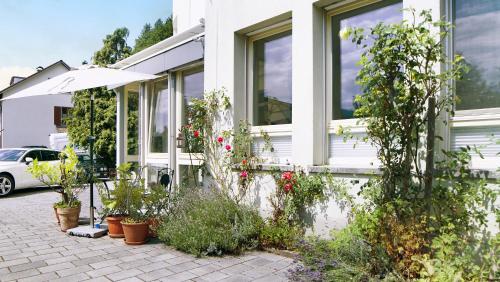 Gallery image of Ferienwohnung zum Goldenen Kopf in Elzach