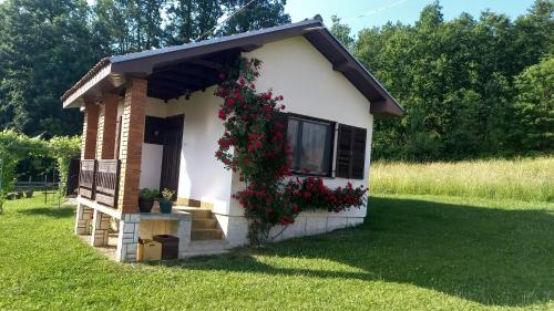 a small white house with a window with red flowers at Šumska čarolija in Kosjerić
