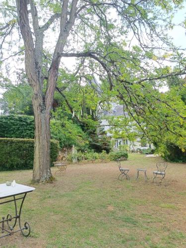 Κήπος έξω από το Chambres d'Hôtes Manoir de Montecler