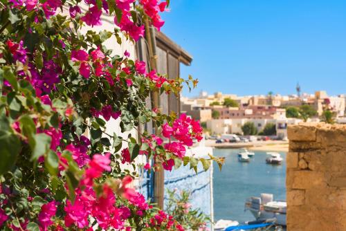 a bunch of pink flowers on the side of a building at DipintodiBlu Charming House in Lampedusa