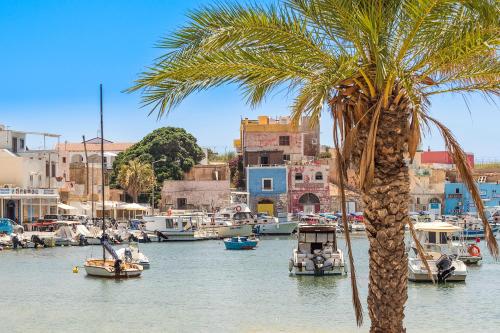 a palm tree next to a harbor with boats at DipintodiBlu Charming House in Lampedusa