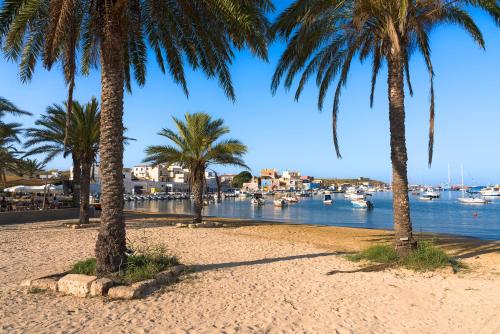 a beach with palm trees and a body of water at DipintodiBlu Charming House in Lampedusa