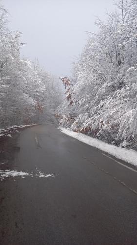a road with snow covered trees on the side of it at Šumska čarolija in Kosjerić