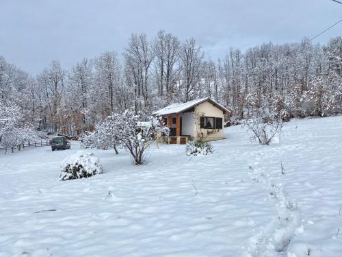 a small cabin in a snow covered field with trees at Šumska čarolija in Kosjerić