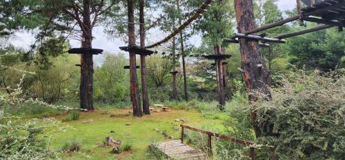 a wooden bench in a forest with trees at Gooderson Drakensberg Gardens Golf & Spa Resort in Drakensberg Garden