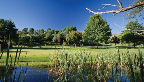 a view of a park with trees and a pond at Gooderson Drakensberg Gardens Golf & Spa Resort in Drakensberg Garden