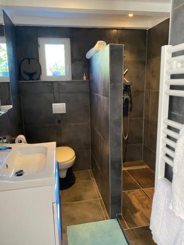 een badkamer met een toilet, een wastafel en een douche bij Villa 55 in Grimaud