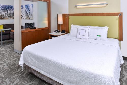 Springhill Suites by Marriott Detroit Metro Airport Romulus Image