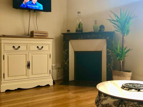 een woonkamer met een tv en een open haard bij MYRABA 1 in Vichy