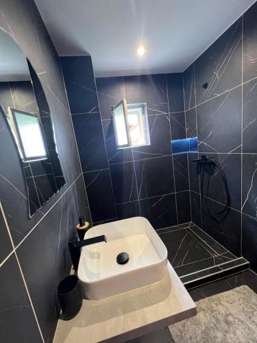 a bathroom with a sink and a shower at Casa Tofalvi in Sovata