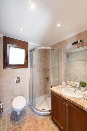 a bathroom with a shower and a toilet and a sink at Sunrise Vista in Vasiliki