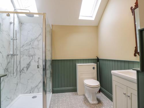 a bathroom with a toilet and a shower at Auchenvhin - Rockcliffe in Dalbeattie