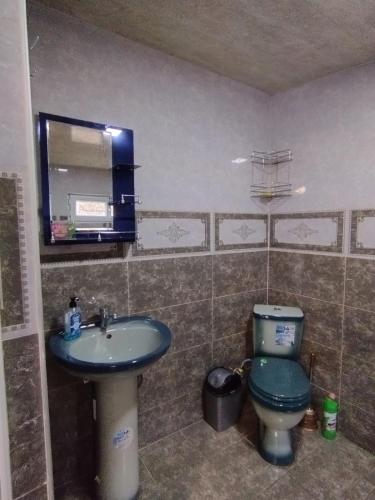 ein Badezimmer mit einem Waschbecken, einem WC und einem Spiegel in der Unterkunft Lika's Sweet House in Katsʼkhi