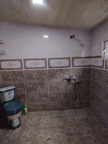 a bathroom with a toilet and a shower at Lika's Sweet House in Katsʼkhi