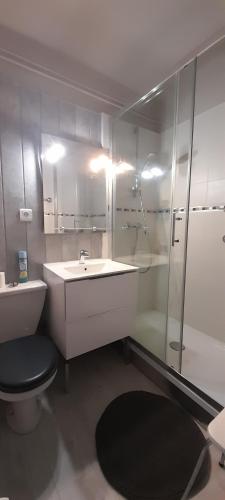 レ・ザングルにあるLe Solariumのバスルーム(洗面台、トイレ、シャワー付)