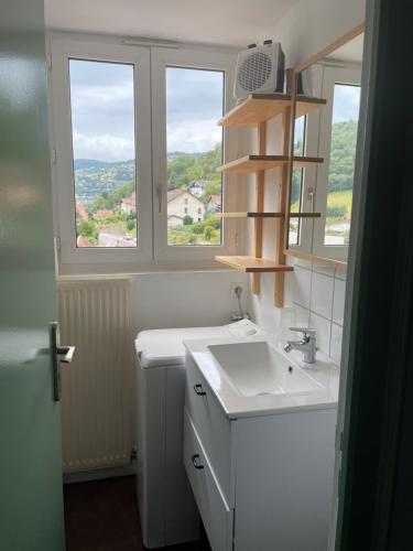 une salle de bain avec un lavabo et deux fenêtres dans l'établissement Appartement 6/8 pers Le Petit Bertin, à La Bresse