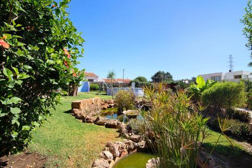 a garden with a pond in a yard at At-tunis in Tunes