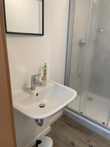 a white bathroom with a sink and a shower at Appartement Donauwelle 1 in Passau