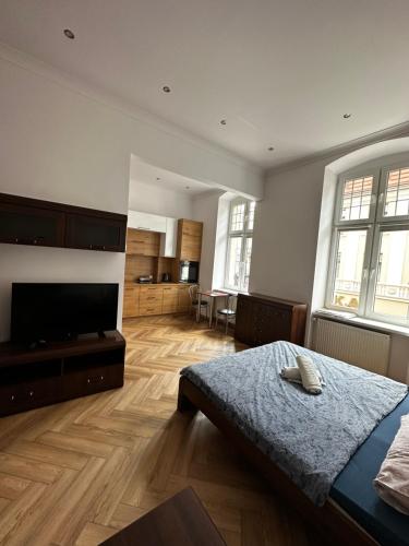 a bedroom with a bed and a flat screen tv at Apartament Szczytna Retro in Toruń