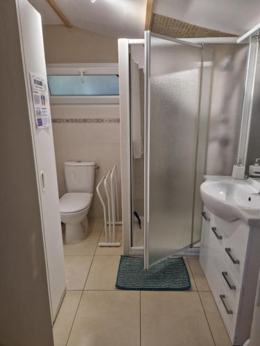 une salle de bain avec une douche, des toilettes et un lavabo dans l'établissement Chalet de 25 m2 avec jardin, piscine et spa uniquement accessible en juin sept, à Lorgues