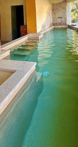 a swimming pool with blue water in a building at B&B La Chintina in Sant Antonio Di Gallura