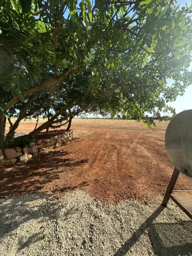 Gambar di galeri bagi Gîtes dans Domaine des Barrettes di Agde