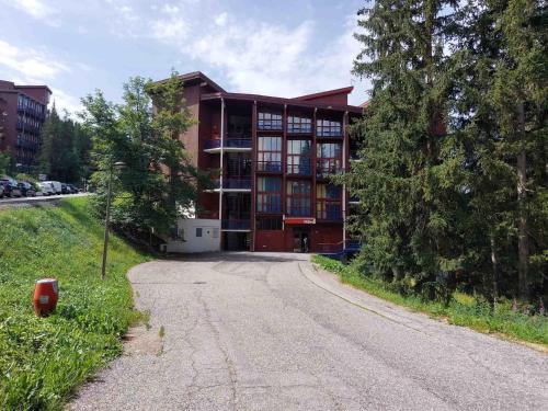 Duplex rénové, animaux admis, pour 5 personnes près pistes et commerces - FR-1-411-404