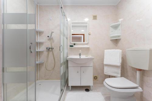 a bathroom with a shower and a toilet and a sink at Pine Trees Penthouse in Olhos de Água